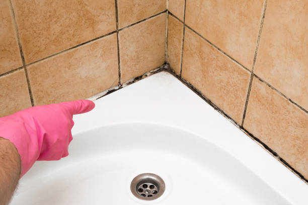 Best Fast Mold Removal  in Walthourville, GA